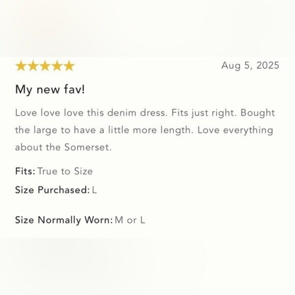 NWT Size XL - The Somerset 100% Cotton Mini Dress: Denim Edition (NWT US$ 138) - Picture 4 of 16